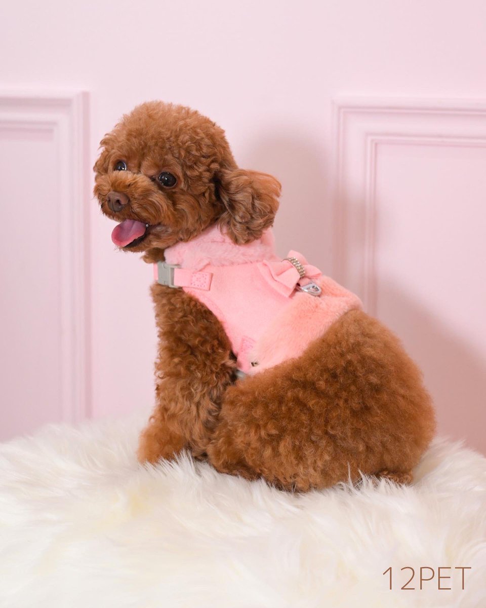 12petShop's tweet photo. 【可愛い犬服•猫服🐶🐱⏩ https://t.co/1SYs1NjoQo】

🎀 ドレッシーリボンボアハーネス

リッチな印象の柔らかなボアがボリューミーにあしらわれた、
ドレッシーさにあふれるハーネス🎀✨

華のあるリボンがあしらわれ、愛犬ちゃん・愛猫ちゃんのバックスタイルを品よく演出してくれます✨ https://t.co/FfsZzktYzz