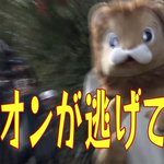 天王寺動物園でライオンが脱走!の想定訓練が面白くなってる!