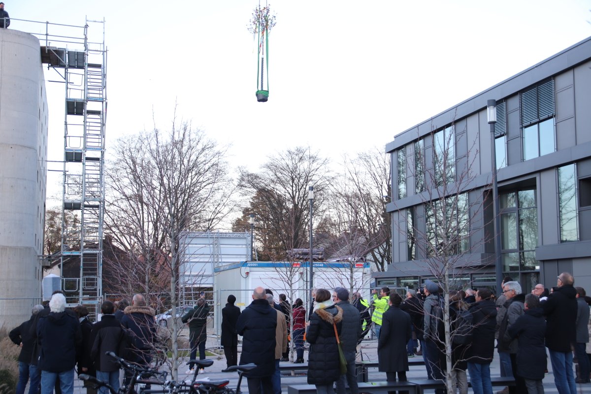 TH OWL BauNews tweet media