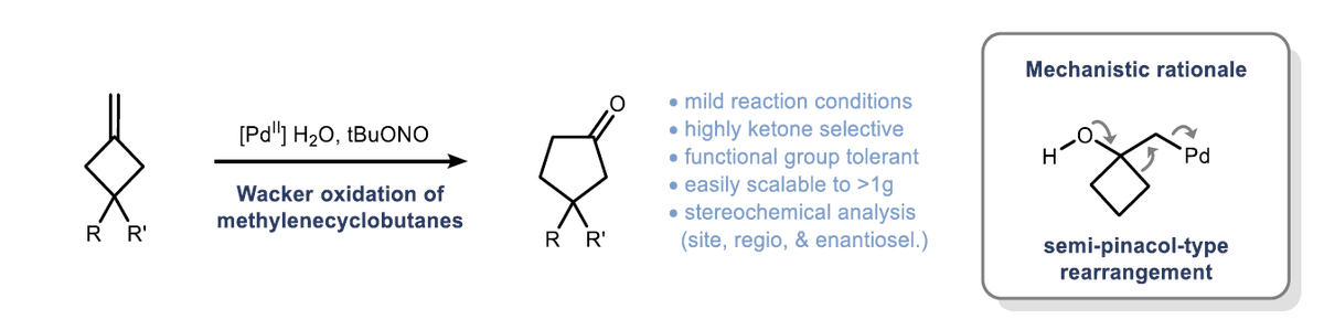 Wacker Wacker ee ee 💃🕺 
Curious about how to make 1,1-disubstituted alkenes undergo Wacker oxidation? 
Check out Jan and Marius work <a href="/angew_chem/">Angewandte Chemie</a> Huge achievment for the group! #proudPI 
doi.org/10.1002/anie.2…