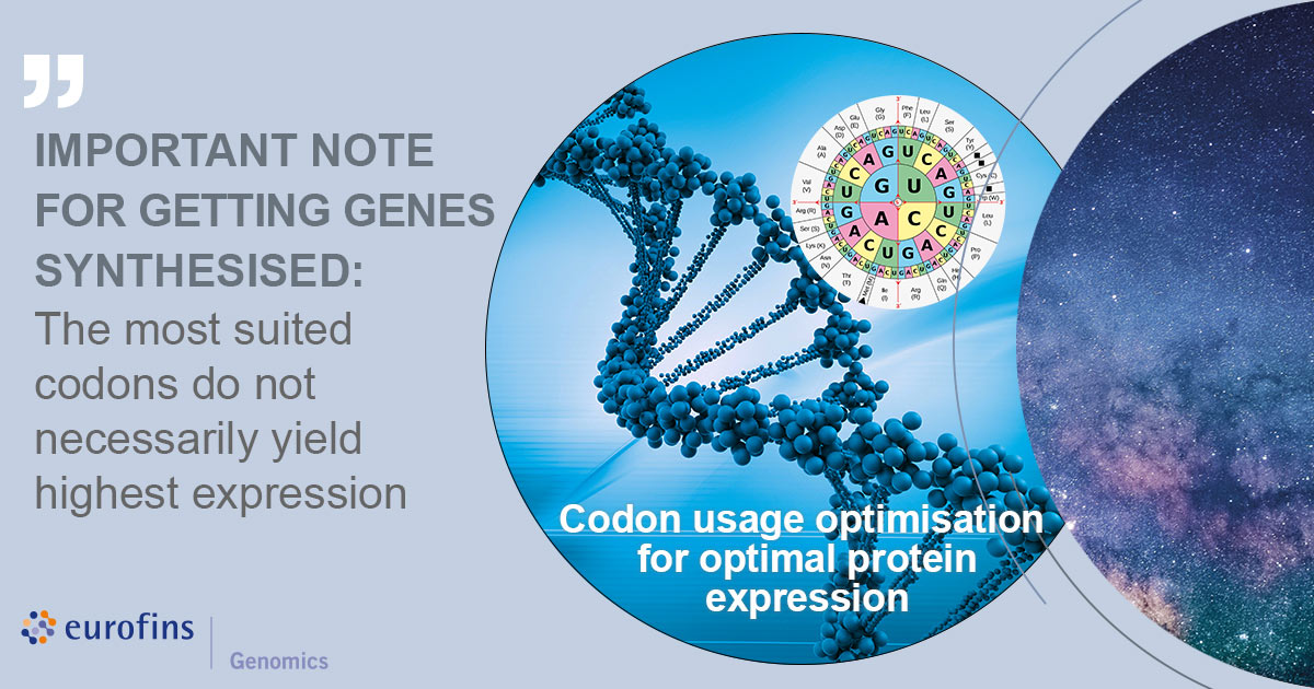 Important note for gene synthesis: Simply choosing the most suited codons does not do the trick to yield highest protein expression. Nobody is perfect. With GENEius your synthetic genes will be. Find out more at the-dna-universe.com/2022/07/21/gen… #genomics #genesynthesis #TheDNAuniverse