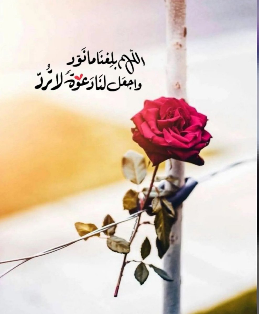 تصميم مشجرة العائلة🌸 (@ansab32578002) on Twitter photo #صباح_الخير_والسعاده
#السعوديه_بولندا 
حين يسكن رضا الله في قلوبنا يصبح كل شي اجمل ، اللّهمَّ ارزقنا رضاك والجنة 🤍.
#صباح_الخير 🤲❤️ #صباح_الخير_والسعاده
#السعوديه_بولندا 
حين يسكن رضا الله في قلوبنا يصبح كل شي اجمل ، اللّهمَّ ارزقنا رضاك والجنة 🤍.
#صباح_الخير 🤲❤️