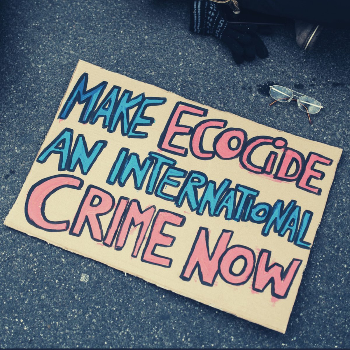 EcocideLaw's tweet photo. If we are to avert #climatebreakdown, we cannot continue to destroy ecosystems, such as primary rainforests, that act as vital carbon sinks.

Want to help make #EcocideLaw a reality? Get involved: https://t.co/SggPL5HMDy

#StopEcocide https://t.co/NGkUKgMecV