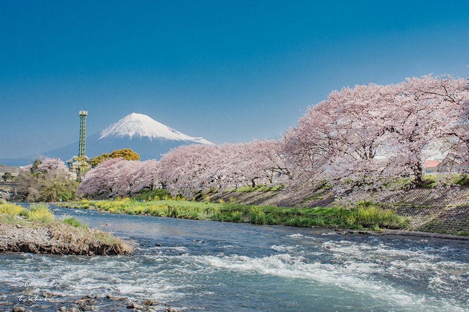 GoGoEasyApp's tweet photo. 龍巖淵, Shizuoka Prefecture, Japan

Discover more interesting events in GoGoEasy app:
https://t.co/3uSMwWucfj

#GoGoEasy #Travel #Trip #Plan #Vacation https://t.co/0Dd36YuTa9