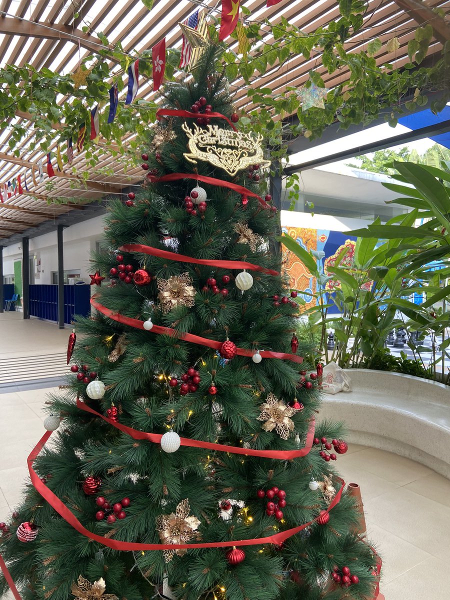 davina mccarthy tweet media