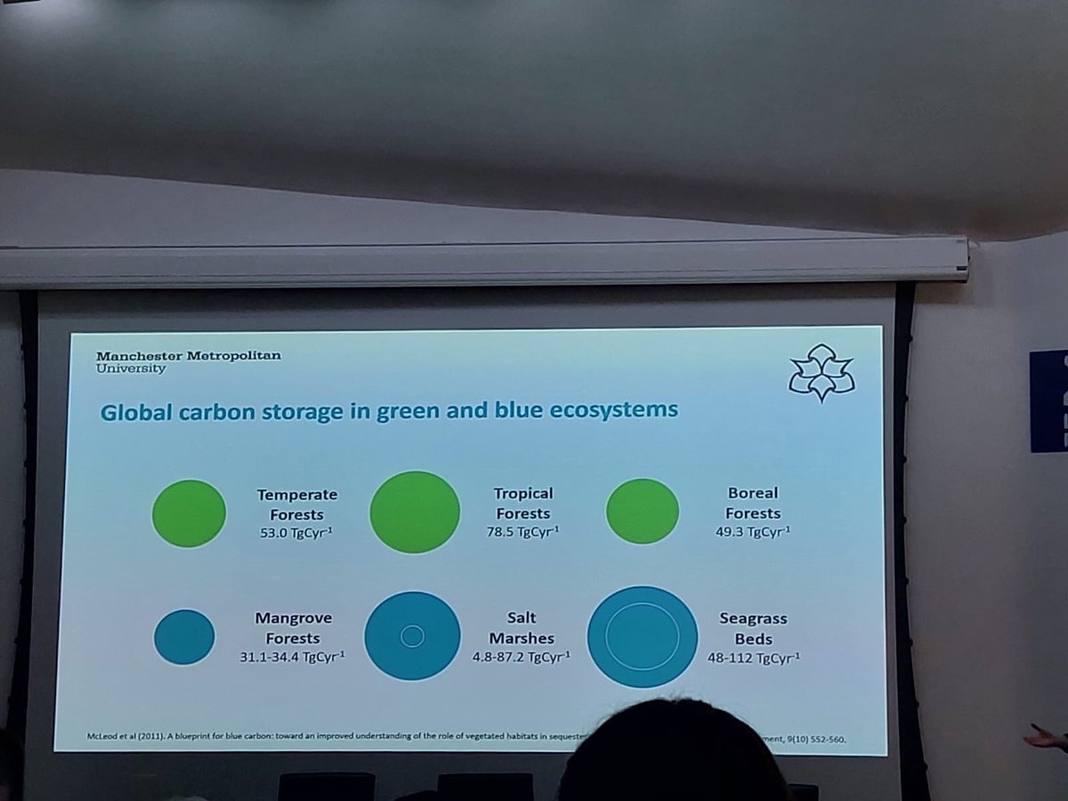 Monica Fabra tweet media