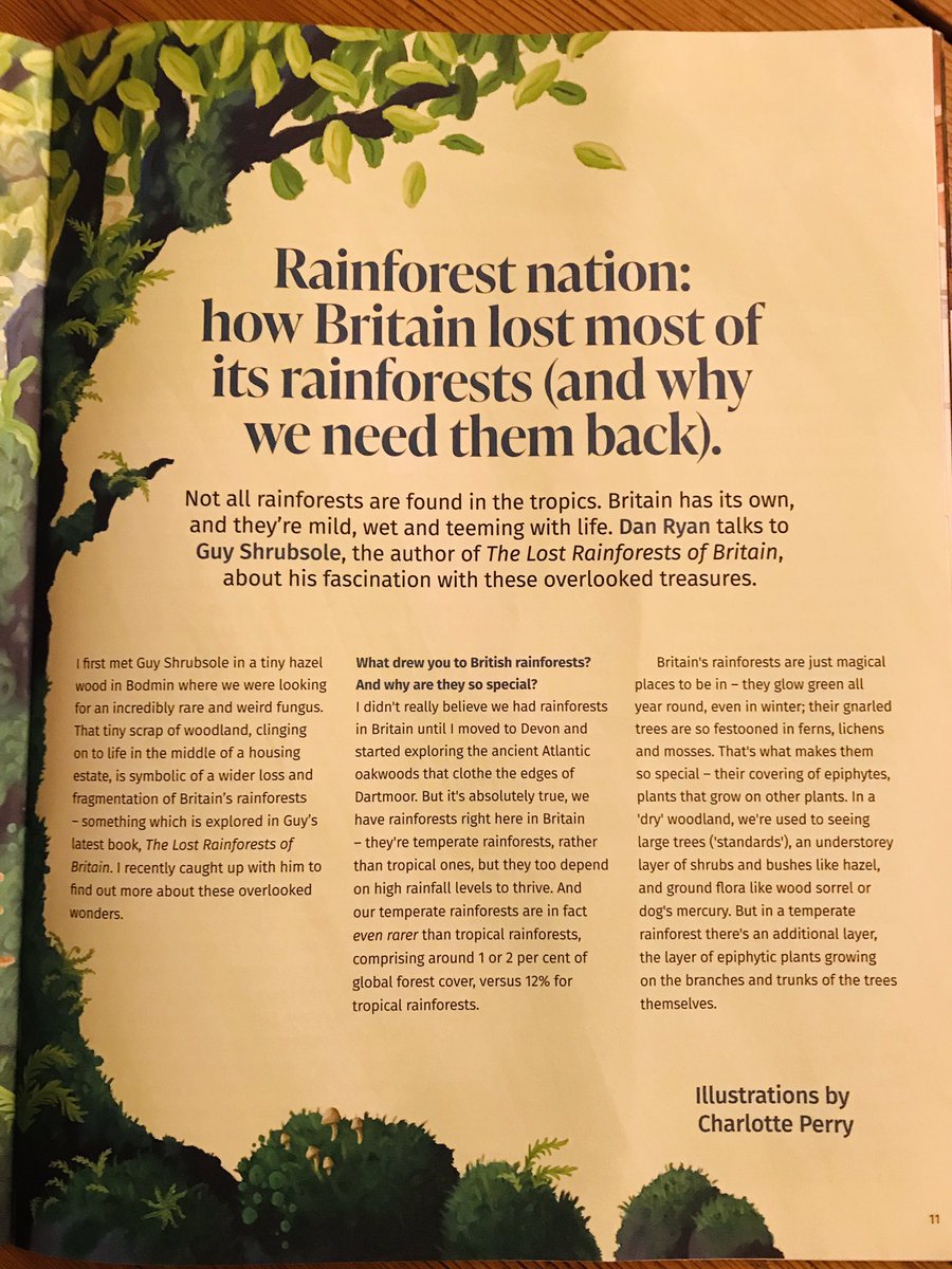 Excited that The Lost Rainforests of Britain is the front page story in latest <a href="/EdenProject/">Eden Project</a> Magazine!

Big thanks to <a href="/danryan_nature/">Dan Ryan</a> for interviewing me &amp; Charlotte Perry for amazing illustrations! 

Subscribe online here: edenproject.com/support/join-a…