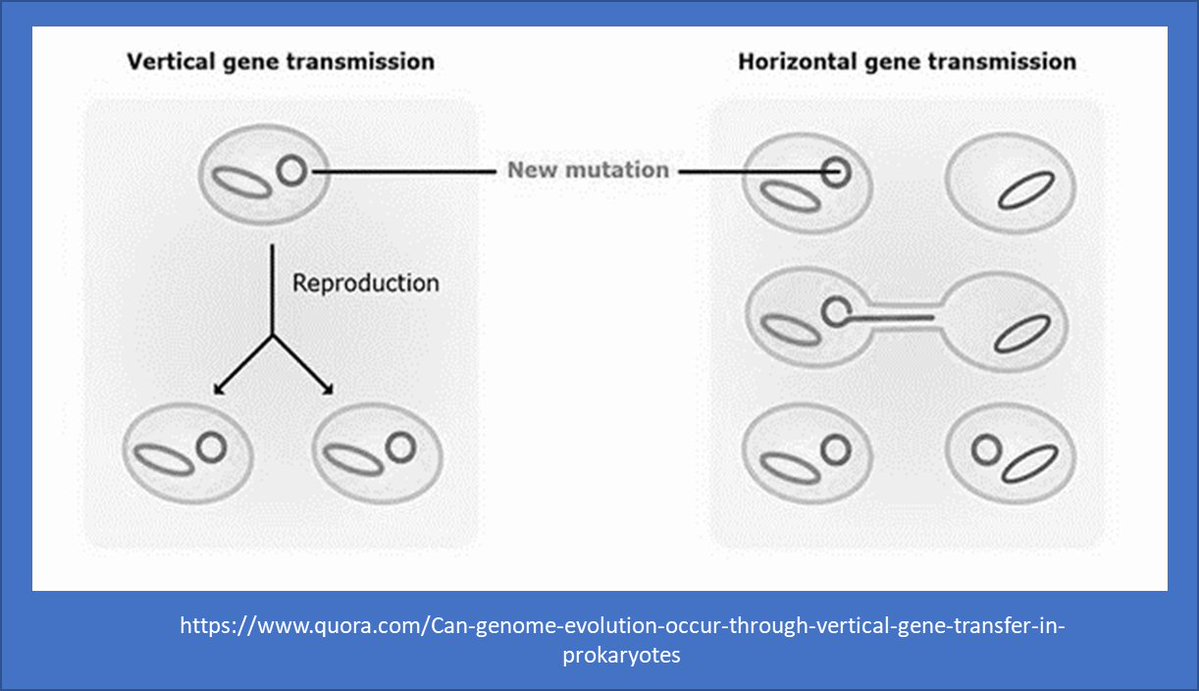 Svainio's tweet photo. 2/10 We are now learning that the classic vertical and horizontal “gene transfers “involve evolutionary old but rather recently identified cell secretory mechanism. This connects into the classic views of gene transfers in biology. #OuluTC, #eDNAforScience ja #aDNAforScience https://t.co/7HXfO60USJ