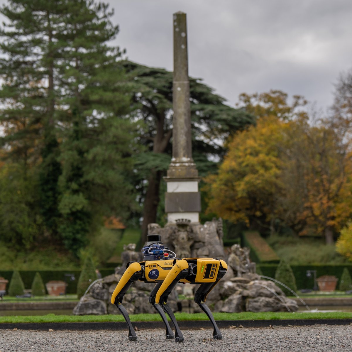 Blenheim tweet media