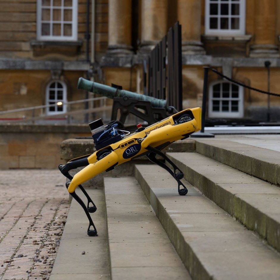 Blenheim tweet media