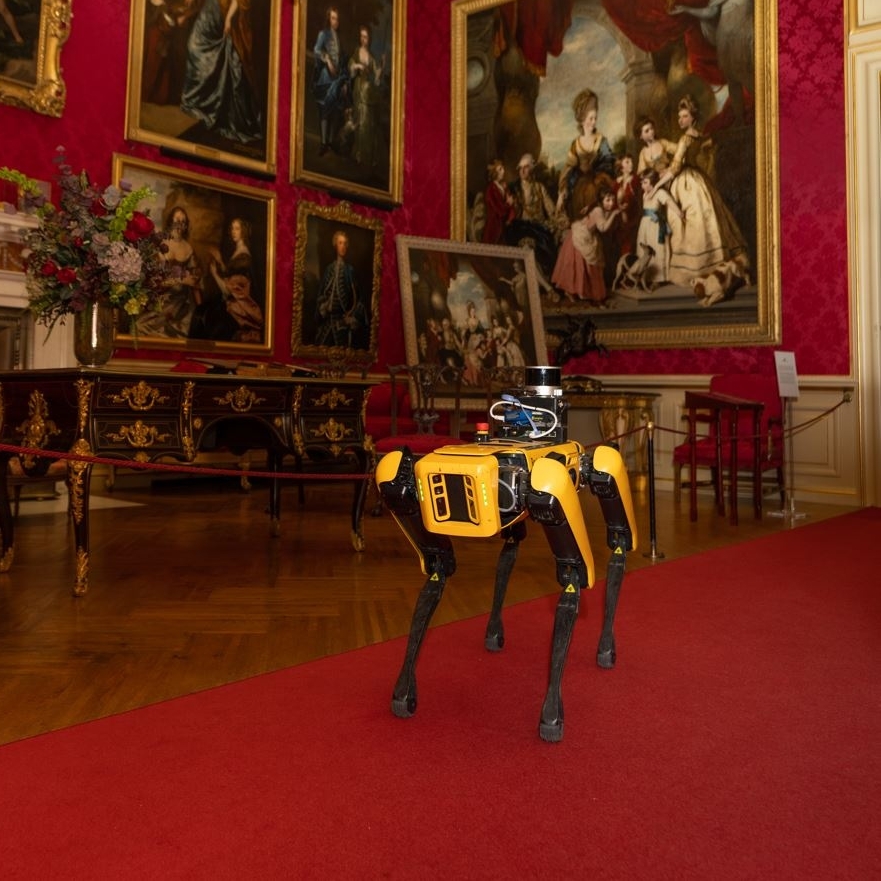 Blenheim tweet media