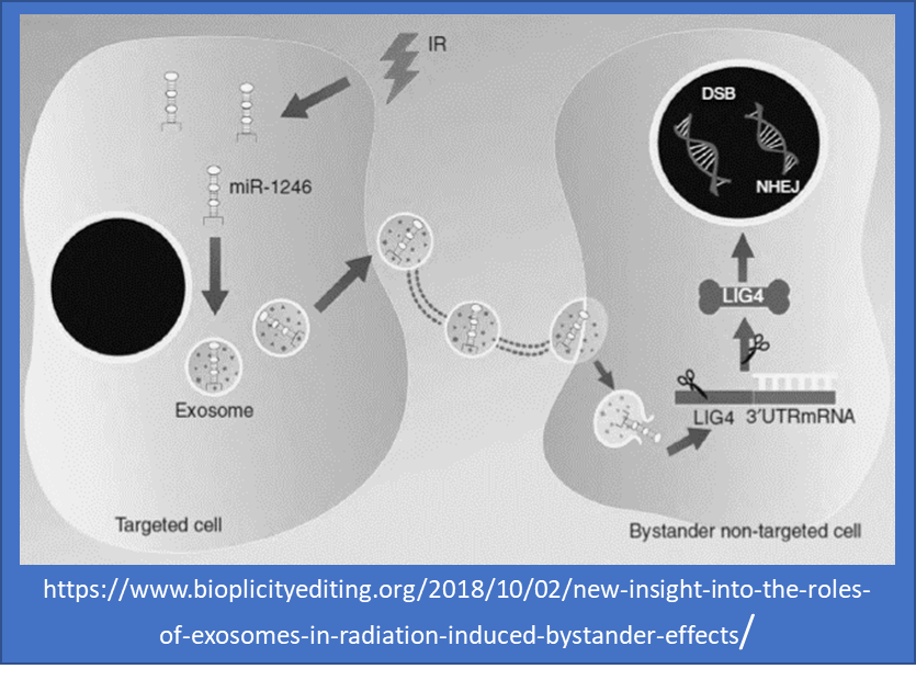 Svainio's tweet photo. 7/10 By transferring DNA/RNA species EVs may serve as an epigenetic novelty generation mechanism via their nucleation association in atmospheric exposure, cosmic ionizing radiation and the bystander effect as part of natural evolutionary innovation realities. #eDNAforScience https://t.co/5bSShidKwZ