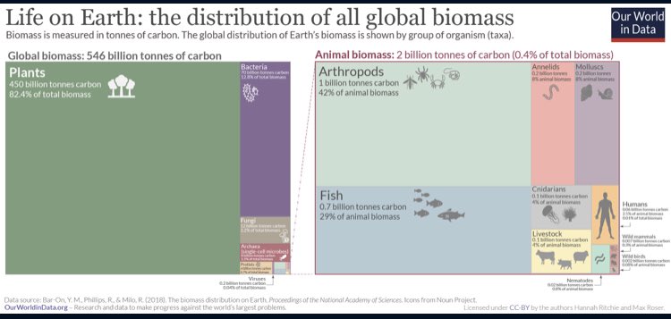 Mariana Debernardini tweet media