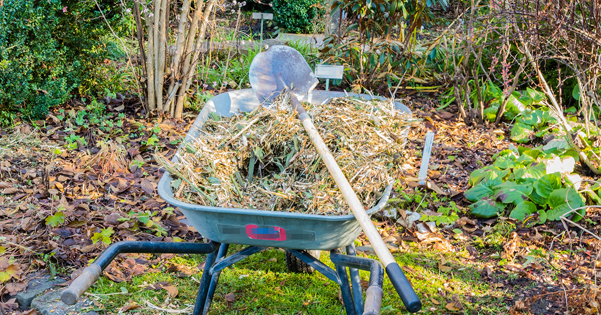 DarlacGardening's tweet photo. As you tidy up your beds for winter, donโt put the clippings in the green bin - add them to your #compostheap. Be sure to avoid adding difficult weeds like dandelion and bindweed, or any diseased plants to your compost heap to prevent spreading them to the rest of your garden. https://t.co/cAI2h1SDso