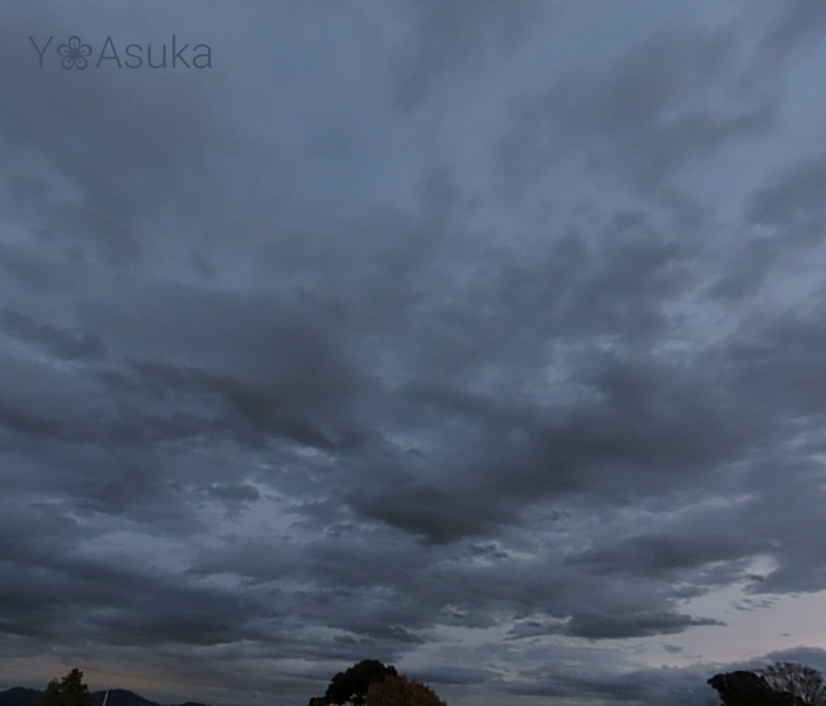 yumeasutw's tweet photo. #黒猪 が飛ぶ🐗☁️🐗☁️
お疲れ様です🏁
北風が止み寒さが和らいだ #夕暮れ 🌆
ブルーグレーの空に黒雲が飛び
西の彼方がオレンジに🟧
#空の名前
#天気の図鑑 #雲友の会
#夕空 #夕焼け #鉄塔 #電柱 #電線
#高層雲 #高積雲 #積雲 #層積雲
#トワイライト #薄明
#a2022 #a1124 #a202211 #a2022114 https://t.co/pIYgOpFYBj