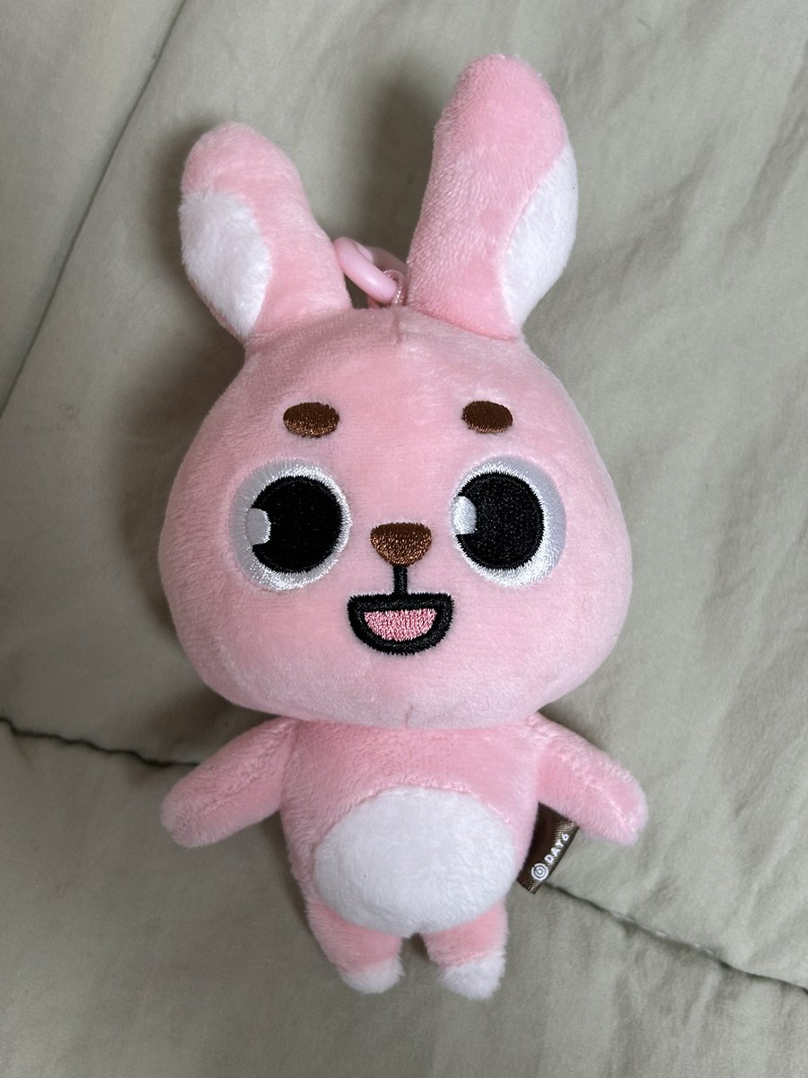 솜인형 시켰는데 송편 하나 꿀떡 하나 왔단다