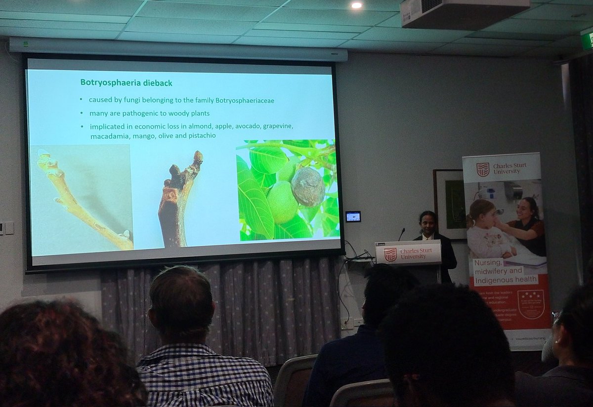 SandraSavocch's tweet photo. Extremely proud of you @StellaAntony6 for all the research you are conducting to better understand the Botryosphaeriaceae dieback pathogens in walnuts @CharlesSturtUni #FOSHSymposium #graduateresearch #phdlife https://t.co/iDPNQ6fpx2
