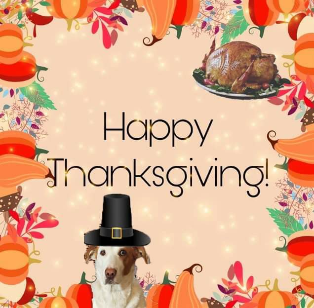 CanadianPenny1's tweet image. #HappyThanksgiving to everyone celebrating today! 🦃🍂🌾🥧🇺🇲

We're thinking of those who may be having a difficult time this holiday season. Sending ❤️