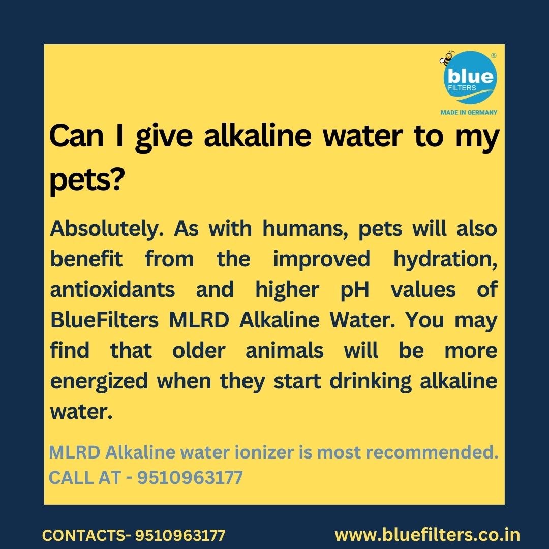 Can I give alkaline water to my pets? @Bluefilters_In - Drinking BlueFilters alkaline water daily will significantly improve your immune system and also provide long-term health benefits.👇 Visit at bluefilters.co.in #bluefiltersindia #mlrd #alkaline #explorepage #Explore