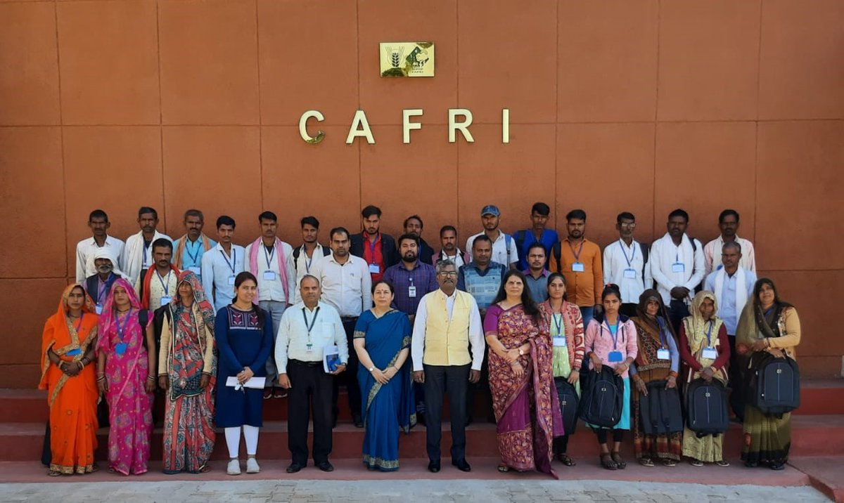 IcarIasri's tweet photo. Three days training program was organized on “On Agro-Forestry to Increases the Income of the Farmers” under SCSP scheme in collaboration with ICAR-CAFRI, Jhansi during 22-24 November, 2022. In total 25 SC farmers (08 Female and 17 Male) attended the training programme @icarindia https://t.co/CmBKFuGdRb