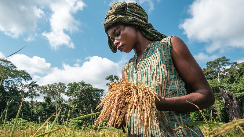 IIED's tweet photo. COP15: putting gender at the heart of biodiversity governance --> https://t.co/7hBgH8ZNyO

Processes set up to recognise the rights of Indigenous People and local communities at the UN #biodiversity negotiations must be #gender-sensitive, so women and girls are not left behind. https://t.co/2ydIOo0Ti0