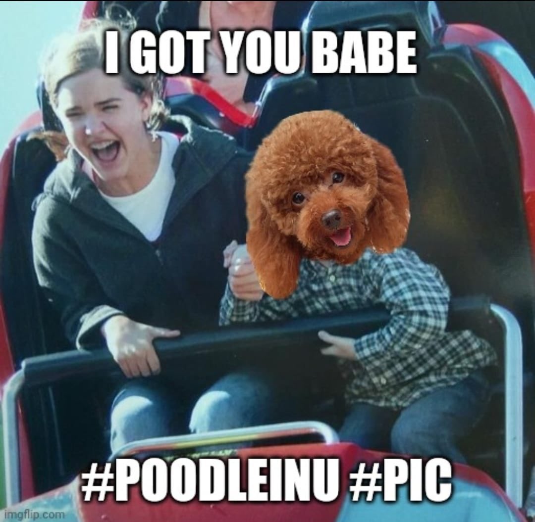 tonfaanthony's tweet photo. @Monkryptos Buy #PoodleInuCoin $PIC Earn $doge free https://t.co/dptrIFUxl5
