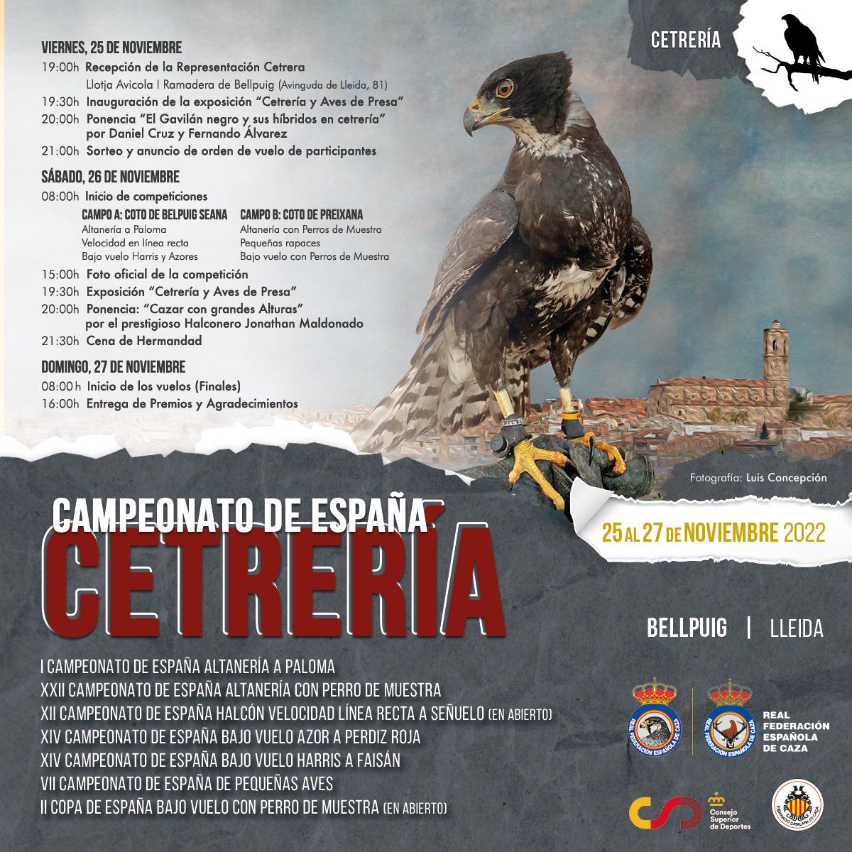 Bellpuig acollirà aquest cap de setmana el Campionat d’Espanya de Falconeria. Una prova espectacular que comptarà amb la participació dels millors falconers/es del conjunt de l’Estat. Us hi esperem