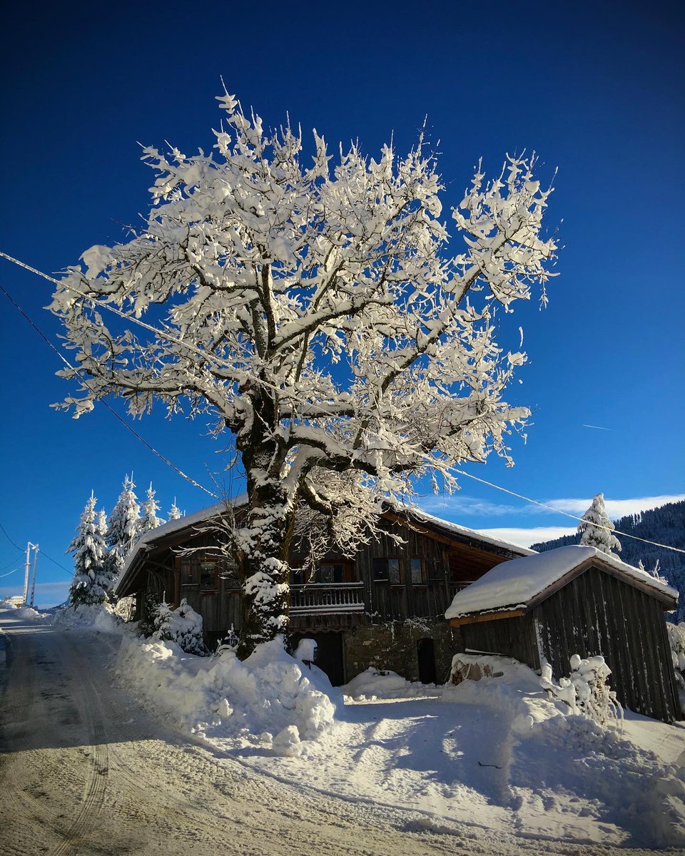 Getting there! Some more snow is forecast, here’s to an excellent and unrestricted ski season. #skiing #Alpine #winterfun