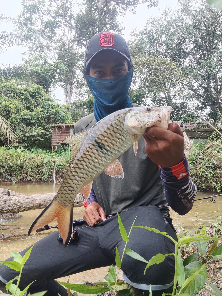 PakAlFishing's tweet photo. What a day for Stream fishing
#fishing #FishingGirls #fishinglife #FishingPlanet #fishingaddict #fish #sebarau #hampala #ultralightfishing #okuma #okumac10 https://t.co/FFnbRWtMal