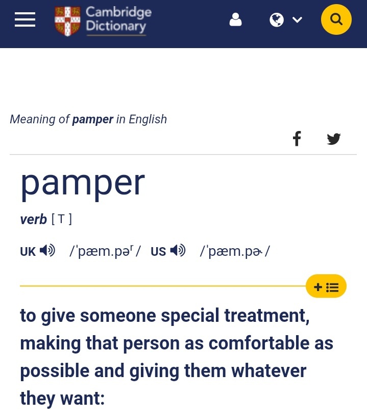 rasine-irem-on-twitter-so-what-does-it-mean-to-pamper-these-are