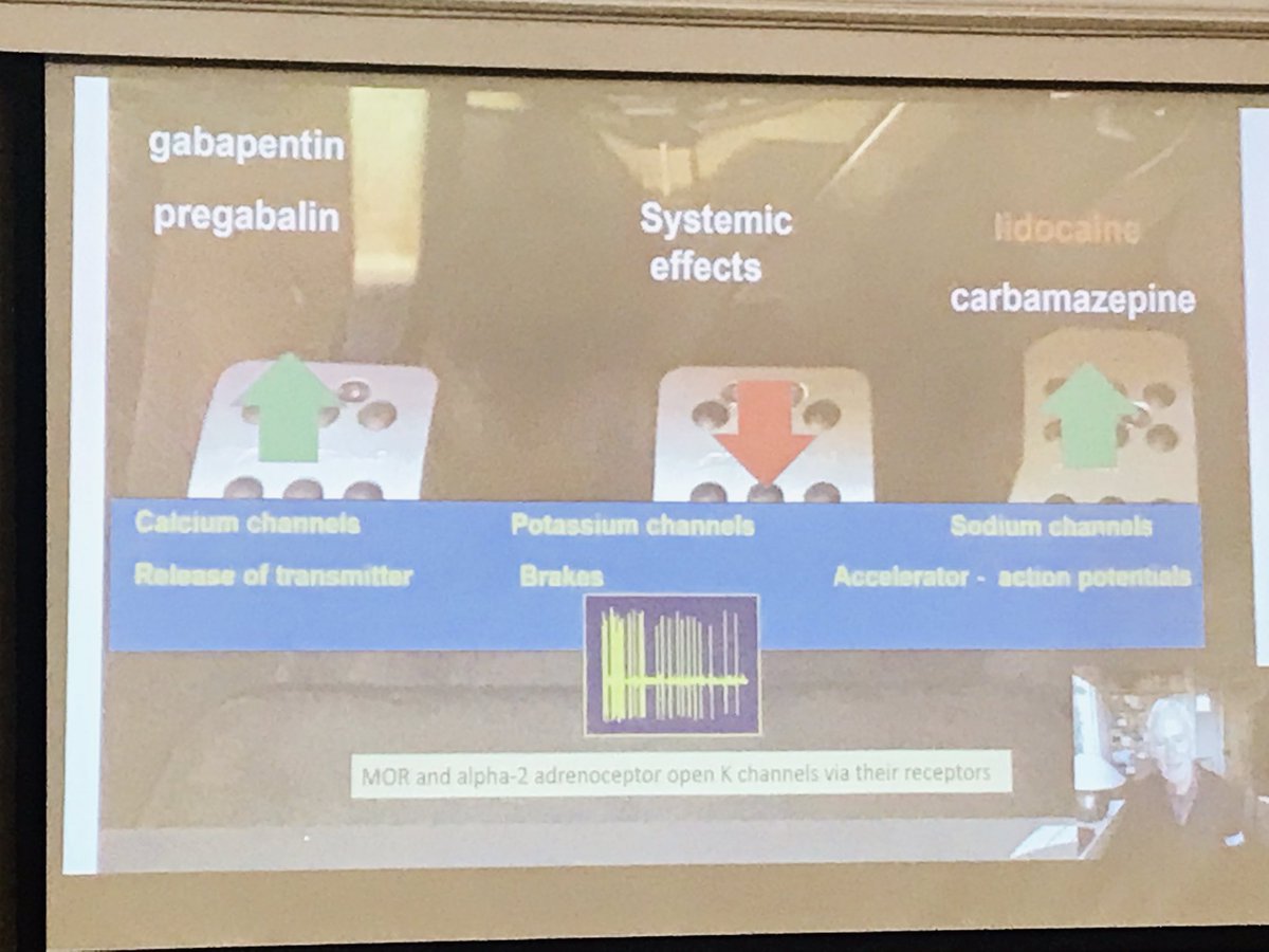 LizLizm46's tweet image. Love a metaphor #gabapentinoid #royalmarsden #windup