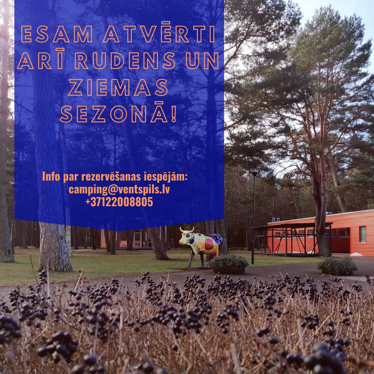 Piejūras kempings ir atvērts un gaida viesus visu cauru gadu! Mūsu viesiem piedāvājam nakšņošanu labiekārtotās un apsildāmās mājiņās, kā arī atpūtu pirtiņā un karstajā āra kublā.
Par rezervēšanas iespējām interesēties zvanot pa tālr. 22008805 vai e-pastā camping@ventspils.lv.