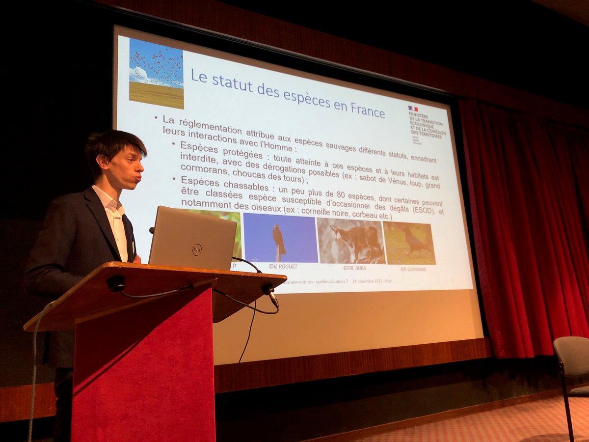 [#ColloqueOiseaux 🐦]
La règlementation sur les #ESOD (espèces susceptibles d'occasionner des dégâts) permet les tirs/piégeages de certaines espèces destructrices des cultures hors période de chasse.