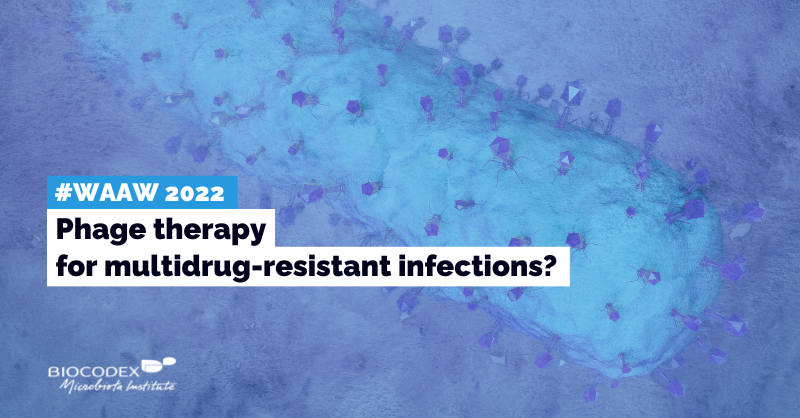 Microbiota_Inst's tweet image. 💊#WAAW 2022
With the emergence of #antibiotic resistance, #bacteriophages are making a comeback. They could be used to provide more targeted #treatment for multidrug-resistant #infections

#Antimicrobials: #HandleWithCare
#AntimicrobialResistance #AMR
👇
biocodexmicrobiotainstitute.com/en/pro/phage-t…