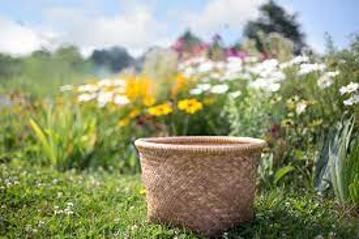 FrostysFlowers's tweet photo. Luxury bouquets hand picked straight from us to you!🌷🌺 https://t.co/pvsQMhbBRD