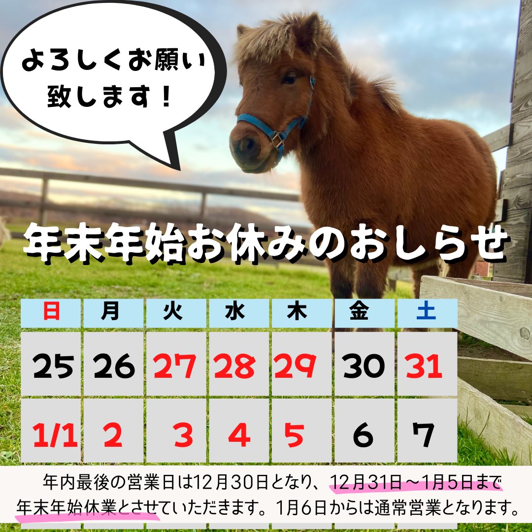 ﾐﾆﾁｭｱﾎｰｽ Twitter Search Twitter