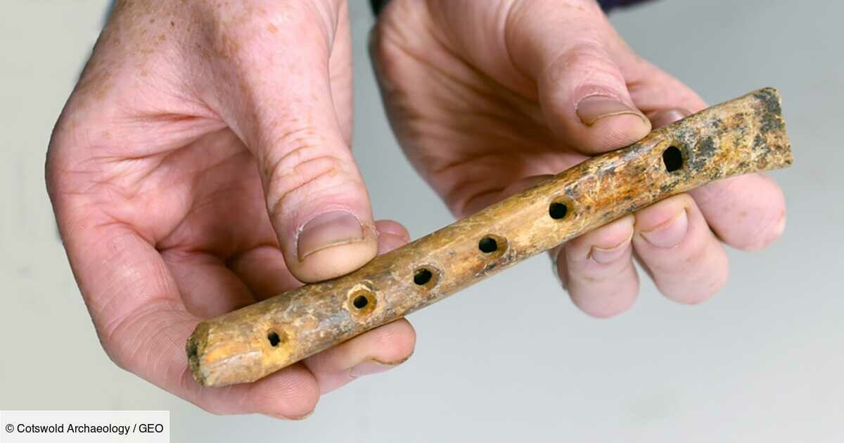 GEOfr's tweet photo. Des archéologues retrouvent une rare flûte en os de plus de 600 ans en Angleterre
➡️ https://t.co/IjdkJ6LNCv
#Novideo #Fouilles #RoyaumeUni #Archeologie #InstrumentDeMusique https://t.co/Fq3kp9VufT