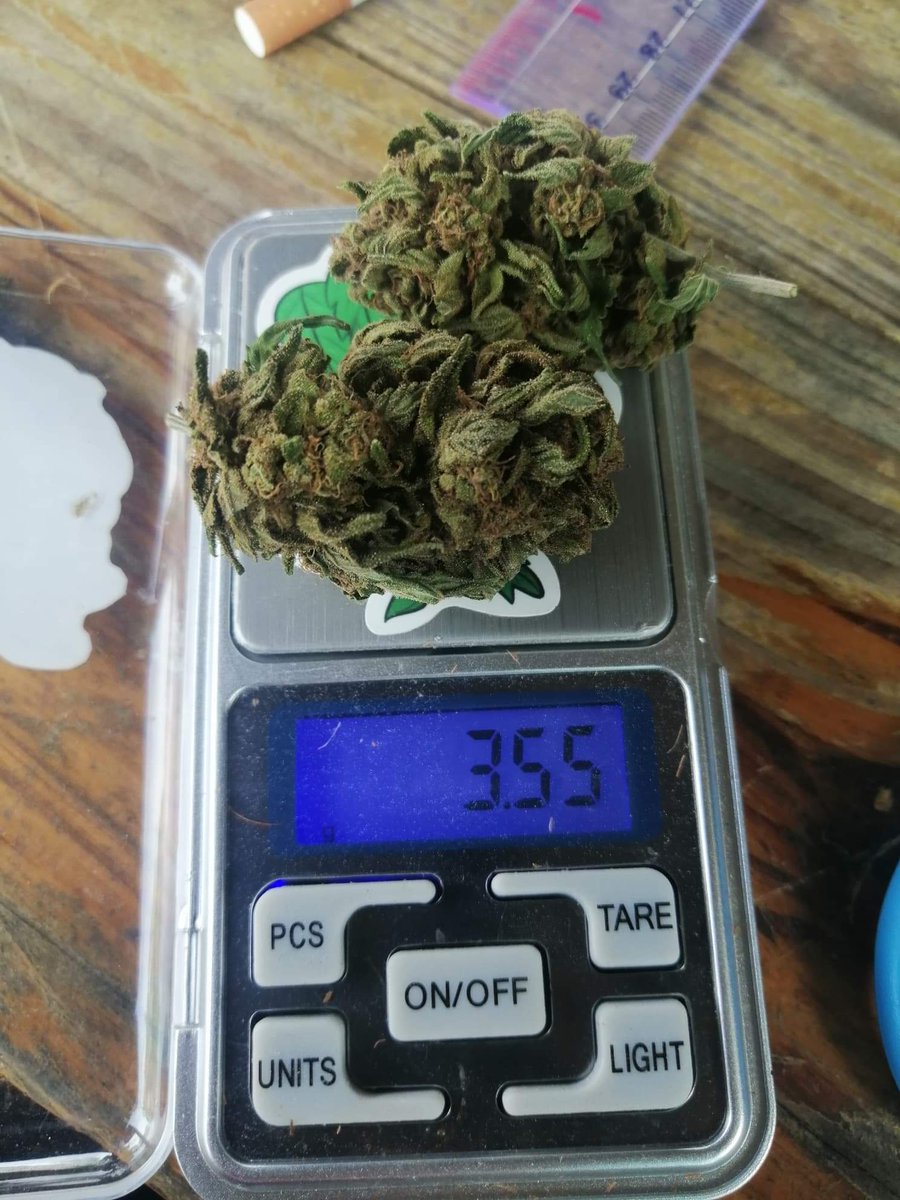 Uniprotra's tweet image. Banana daddy ( in door )
กรัมละ 280 บาท
#กัญชา #โอจี #กัญชาog #พันลำ