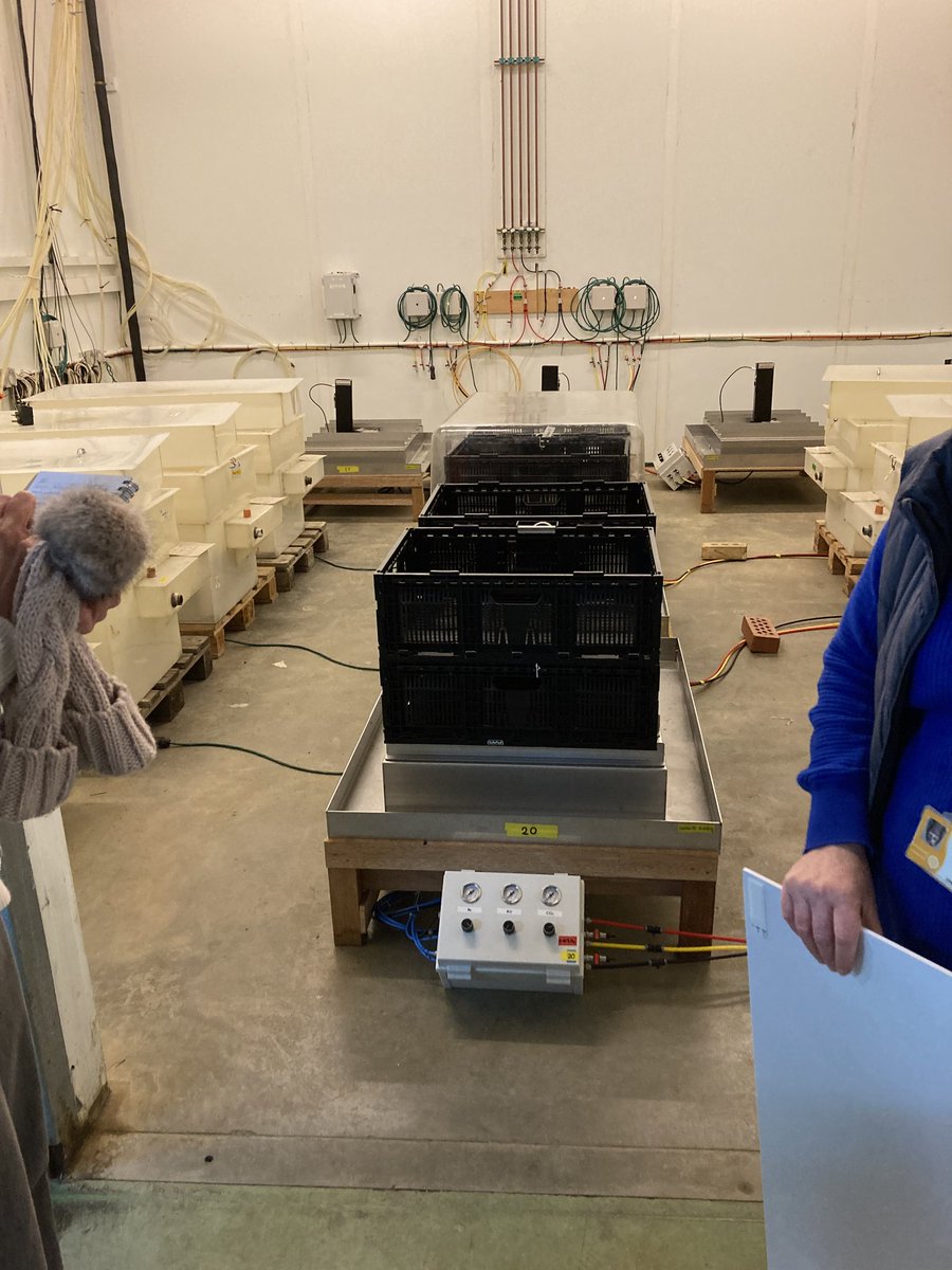 VWoolley29's tweet photo. It was great to be back @NRInstitute this week! 

As well as having a tour of NRI, we had the chance to visit the Produce Quality Centre. Where we heard about innovations in crop storage.

Fascinating to see apple crispness measured using acoustics! 🍎

@CHAPAgriTech @niabgroup https://t.co/XLd1z1sjQQ