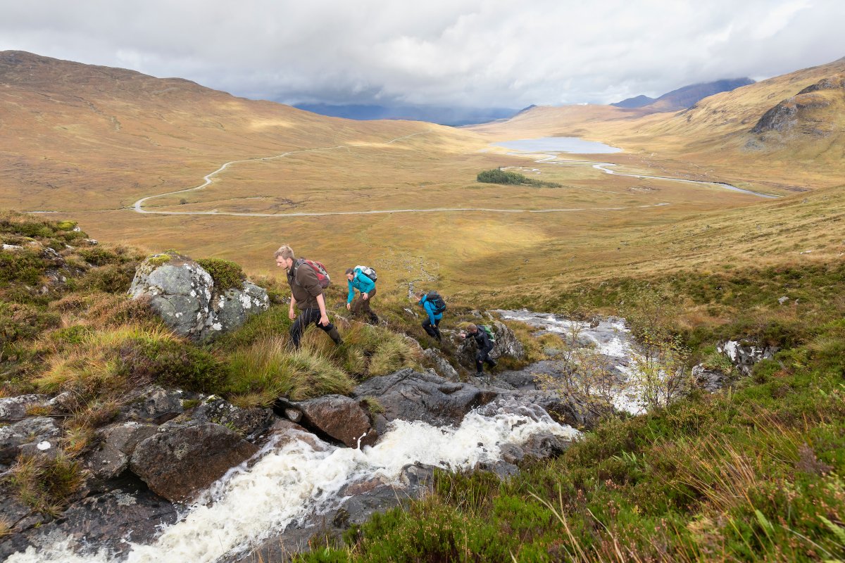 Watts_SH's tweet photo. Please read the latest @ScotRewilding story, on the #mountainbirchproject with @ReforestingScot @ScotlandTBP. One of a growing number of initiatives recognising the vital need to restore mountain woodland habitats! #citizenscience
👉https://t.co/wIpmzxHQxd
📷 credit @markhamblin https://t.co/uDD5QpUeOi