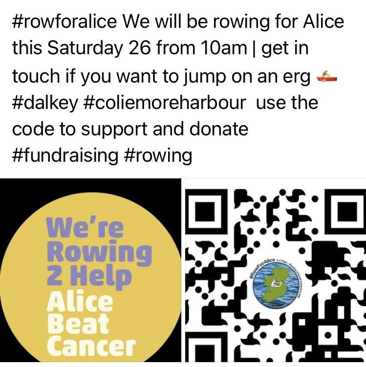 Dalkey Rowing Club tweet media