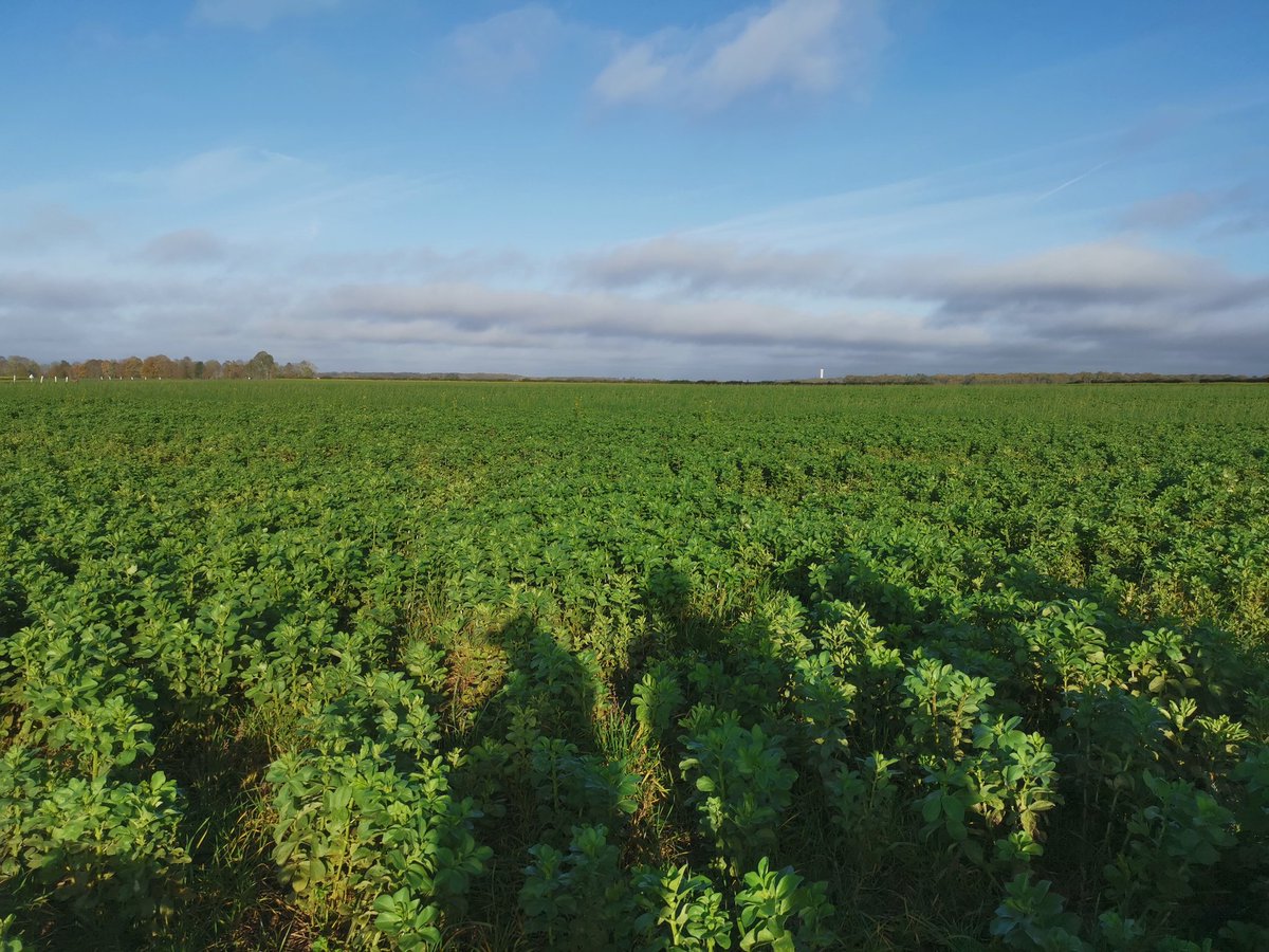 Veaulin Brice 🚜🌾🌻🌽 tweet media