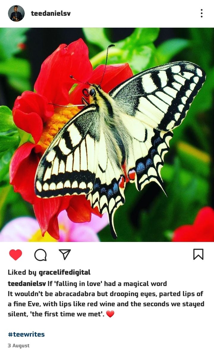 therealtvd01's tweet photo. Still solid...
Many couldn't crack the egg of this one. Beautiful piece β£οΈ
#teewrites #muse #love #poetry #poetrycommunity https://t.co/ShLrtYhBYh