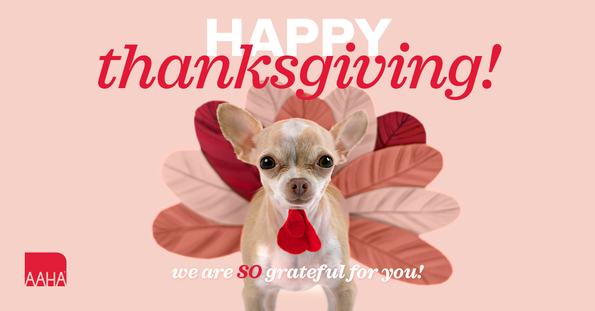 Tweet by American Animal Hospital Association