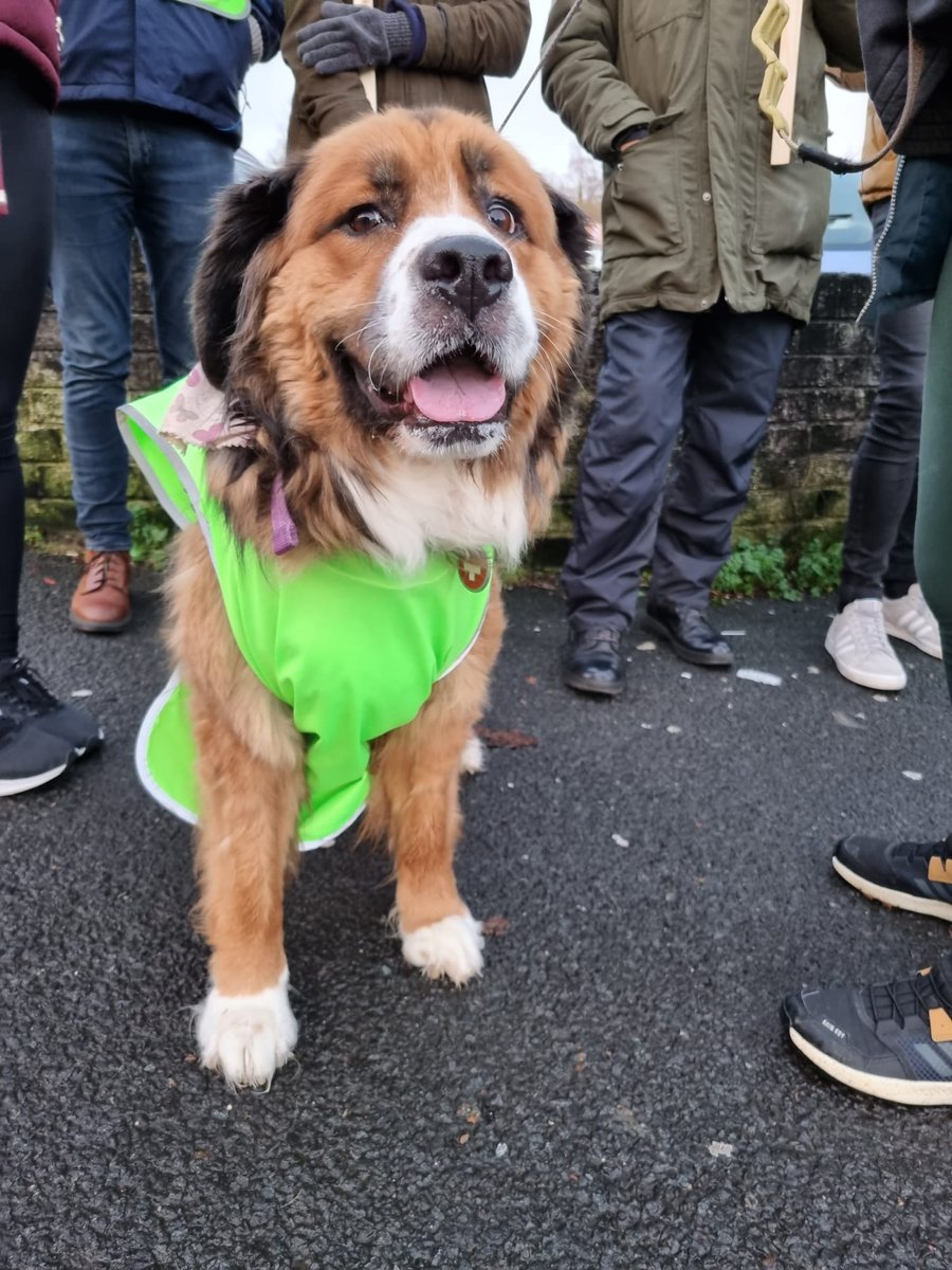 EISUnion's tweet photo. EIS members are out on strike in Renfrewshire. We are loving all the #DemoDogs on the picket lines looking sharp in our #Payattention t-shirts including Luna the Castlehead High picket mascot. https://t.co/7tg0DUiGX5