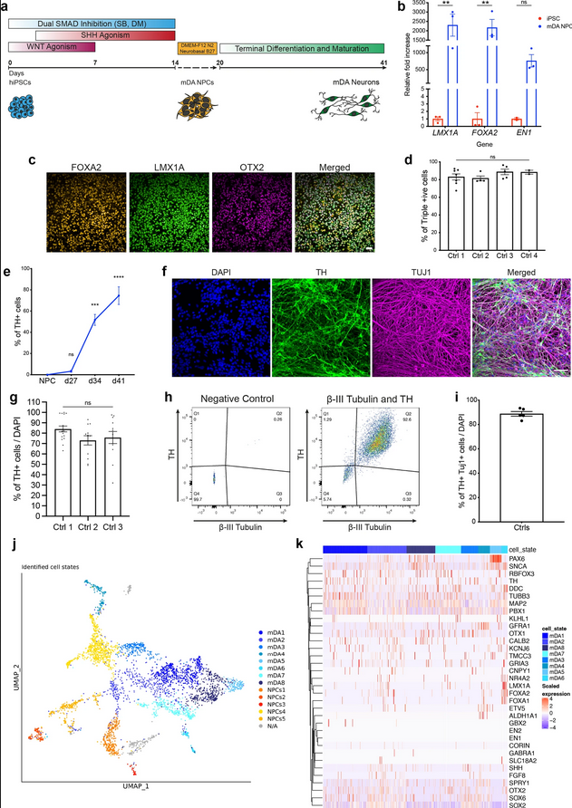 The Science of Parkinson's tweet media