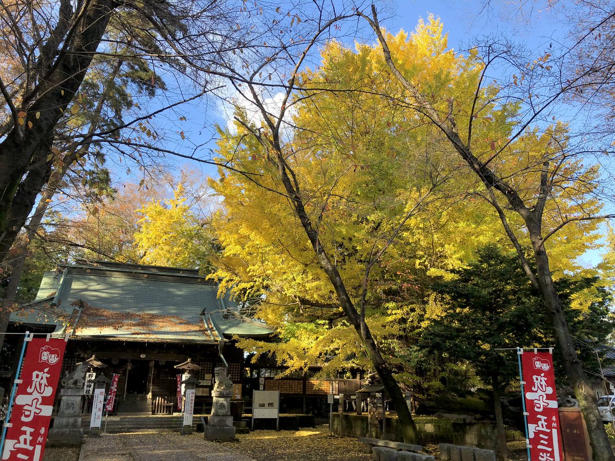 栃木県野木町
梟が住むことでも有名な野木神社様に参拝させて頂きました🦉⛩

野木神社境内の立派なイチョウの推定樹齢は、なんと約1200年！👏

こちらもとちぎ名木百選の一本であり、その中で一番の古木です😊