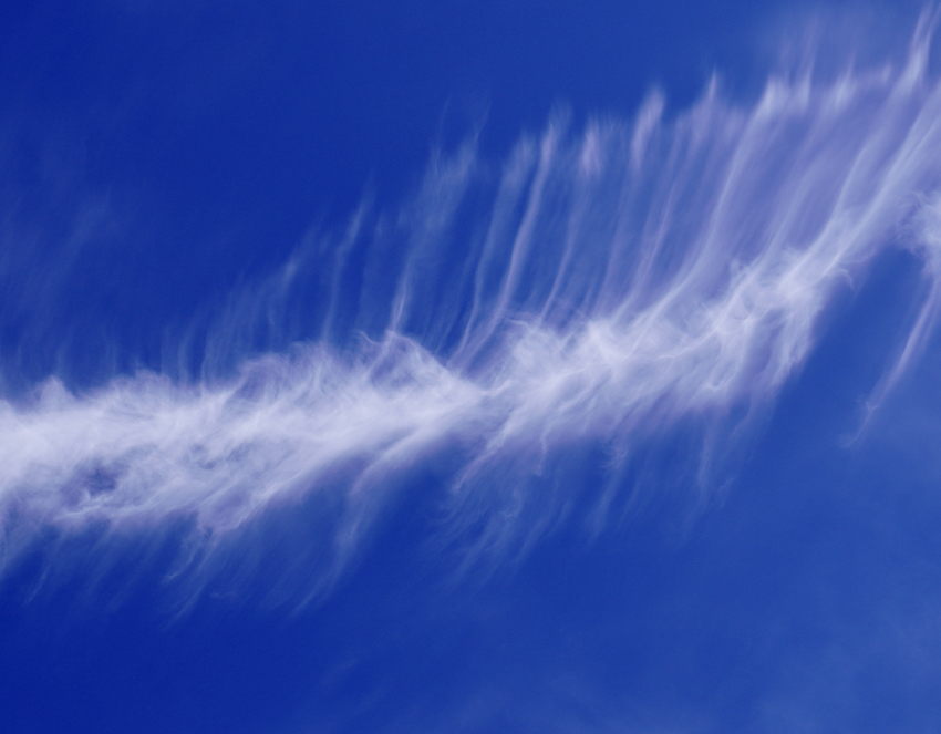 kazupage's tweet photo. 散歩写真🚶🏻
魚の骨のような飛行機雲☁️

#空 #青空 #雲 #飛行機雲 #魚の骨 #日本の風景 #散歩 #散歩写真 #お出かけ写真 #名古屋カメラ部   #東京カメラ部  #カメラ男子 #カメラ好き #photography #photo_jpn #お写んぽ #photo_map  #instagram #instagramjapan #ig_japan　#sony6100 https://t.co/DDJZtJeD0k