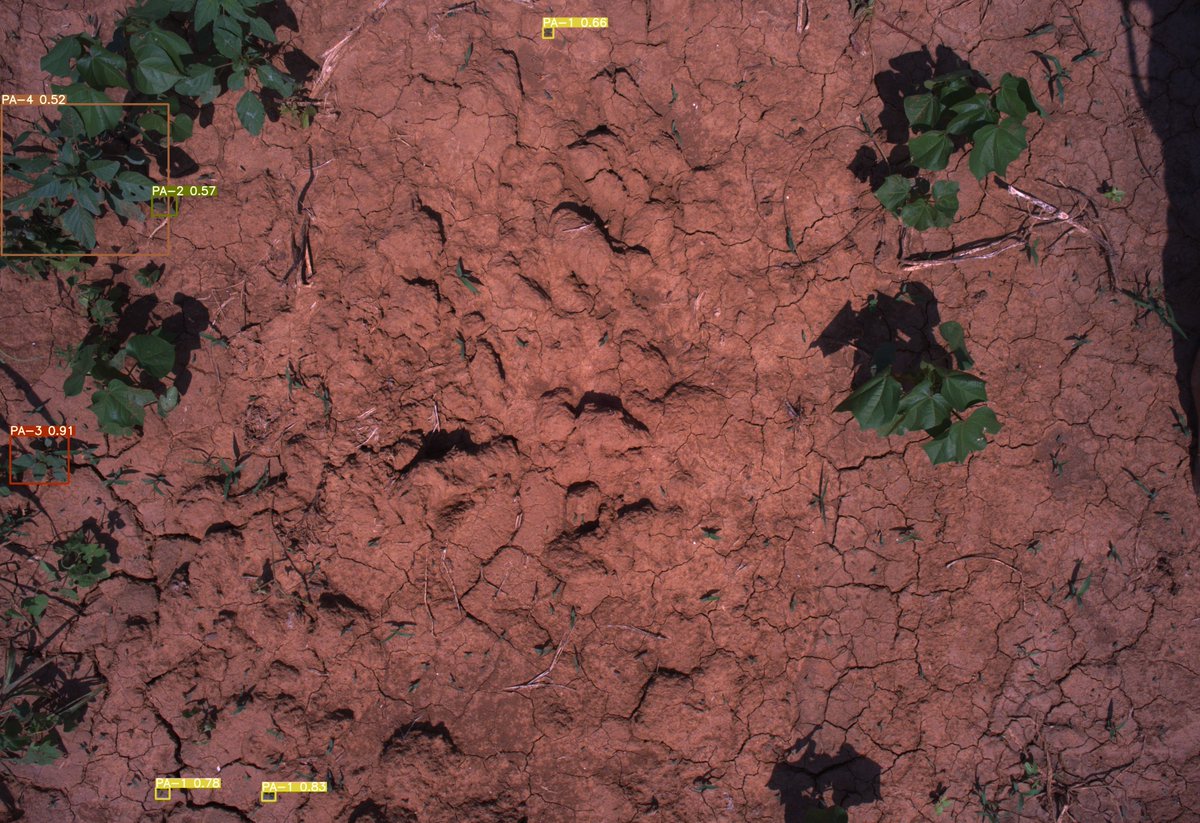 Guy Coleman tweet media