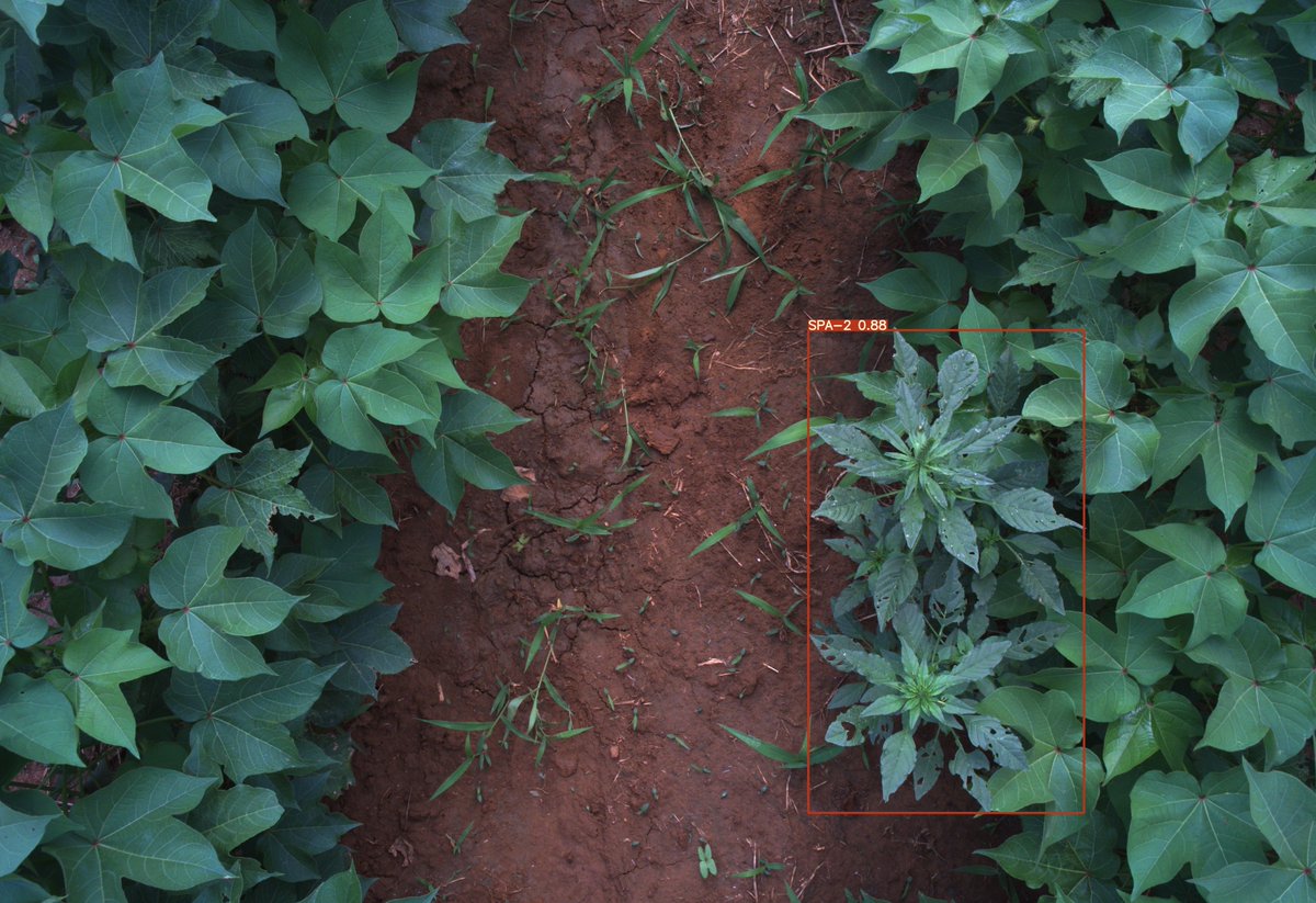 Guy Coleman tweet media